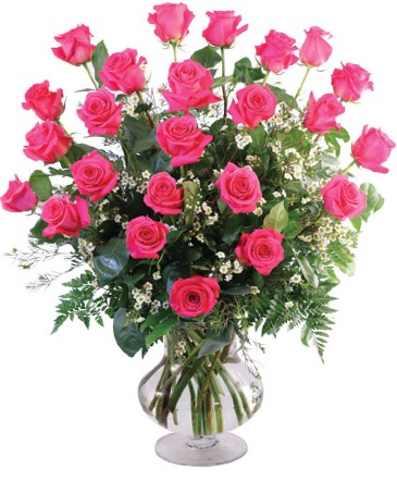 Classic 2 Dozen Roses Arrangement  in Nashville, TN | BLOOM FLOWERS & GIFTS