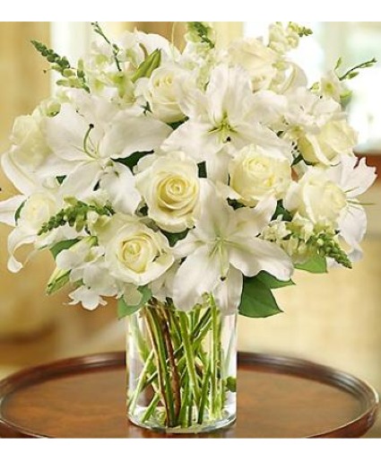 Classic All White 
