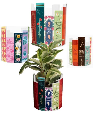 Classic Books - Desk Pot Keepsake Vase   in Knoxville, TN | ALWAYS IN BLOOM LLC