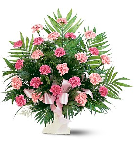 Classic Carnations Choose your color in Jacksboro, TX | AMBROSE FLORAL DESIGNS