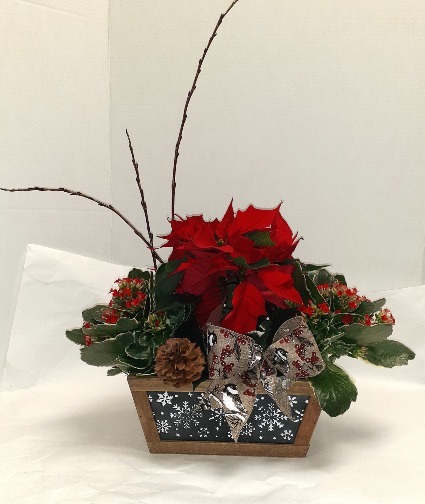 Classic Christmas Planter 