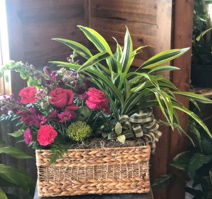 Classic combo Perfect pairing of plants and flowers