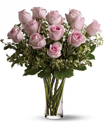 Classic Doz Pink Roses Fresh Flowers