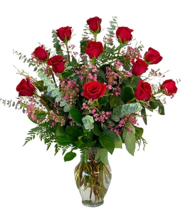 Classic Dozen Red Rose Arrangement   in Owensboro, KY | Ivy Trellis Floral