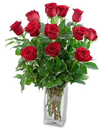 Classic Dozen Red Roses Flower Arrangement in Nevada, IA | Flower Bed