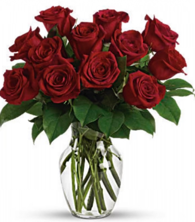 Classic Dozen Red Roses No Babies Breath 