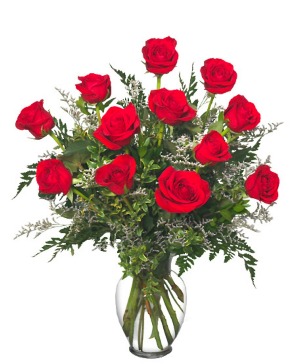 Classic dozen red roses Any occasion 