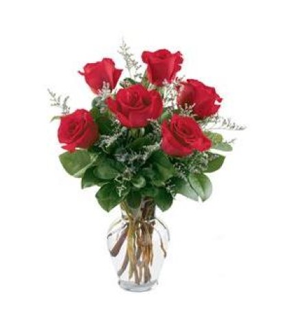  Wildflower 1/2  Dozen Roses Designer's Choice