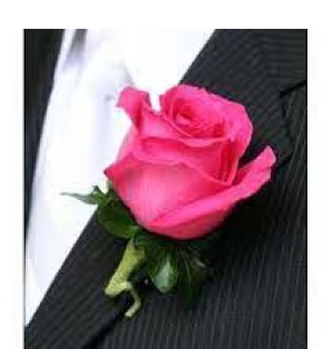 Classic Hot Pink Rose 