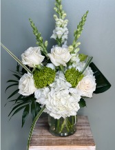 Classic Ivory 