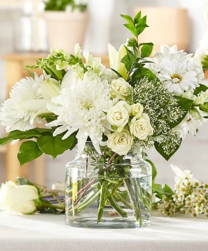 Classic Ivory  