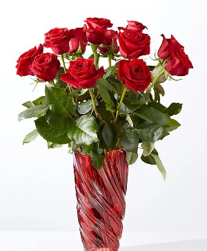 Classic Love Red Roses  