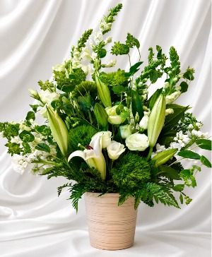 Classic Luxury The Love of Green  Stunning