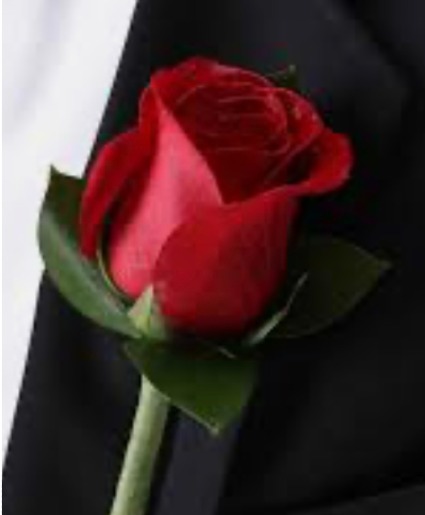 Classic Plain Red Rose 