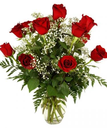 Most  red dozen Fresh red rose