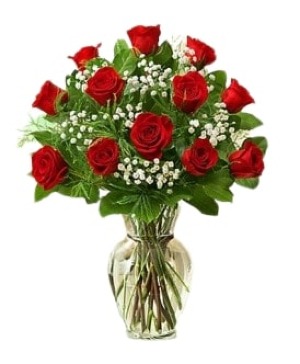 Classic Red Rose Dozen 