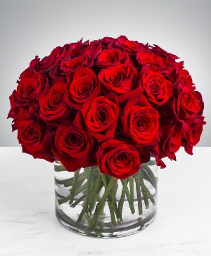 Enamored Roses By the Dz 