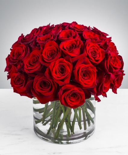 Enamored Roses By the Dz 