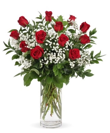 Classic red roses rose