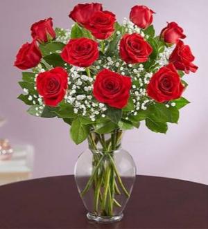 CLASSIC RED ROSES ROSES Roses