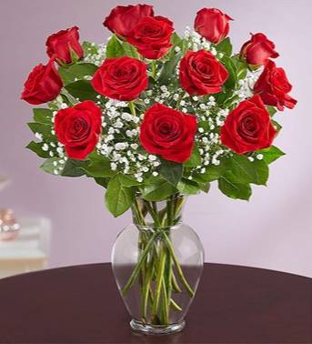 CLASSIC RED ROSES ROSES Roses