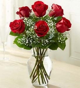 Classic romance roses 