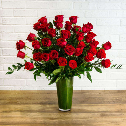 Miss Ruby Classic Fresh Rose