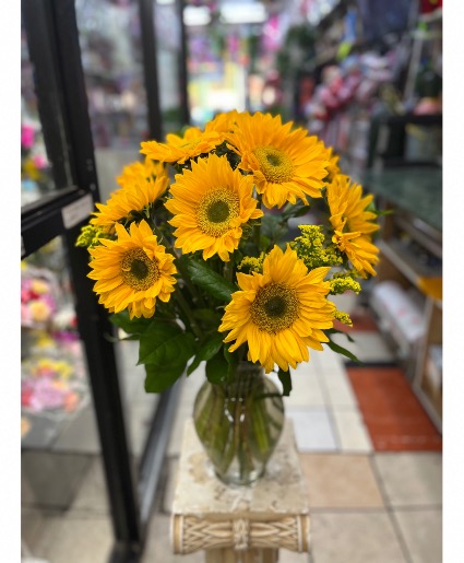 Classic sunflowers  classic sunflowers 