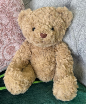 Classic “Teddy” Bear plush Gift