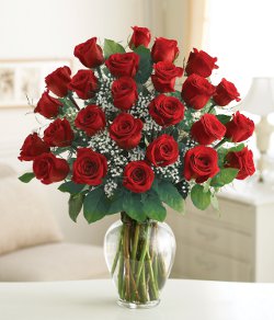 Classic Two Dozen Rose Vase in Clearwater, FL - FLOWERAMA