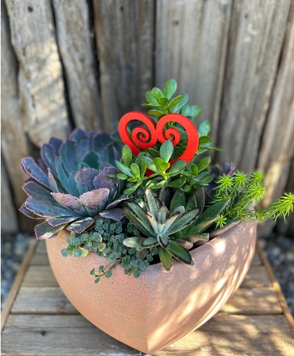 Classic Valentine Succulent Planter 