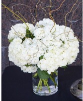 Classic White Hydrangea  Clear Cylinder 