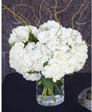Classic White Hydrangea  Clear Cylinder 