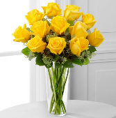 Classic Yellow Dozen  