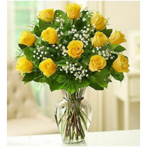 Classic Yellow Roses roses