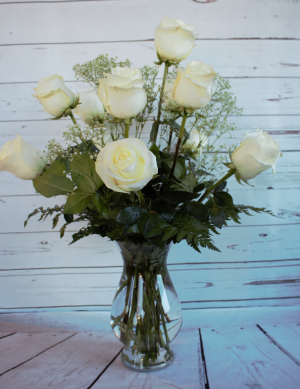 Classis White Long Stem  Roses  Premium Roses