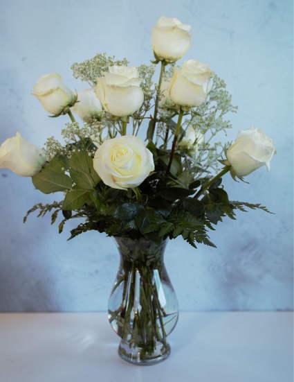 Classis White Long Stem  Roses  Premium Roses