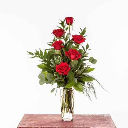 Classy Half Dozen Choose Red, or Purple