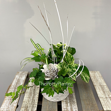 Classy White Indoor Garden 