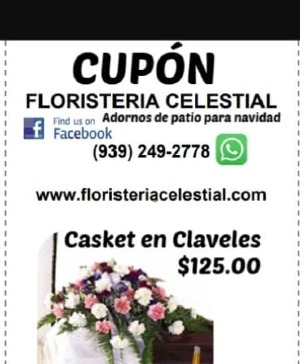 Claveles sobre el Ataud  Casket