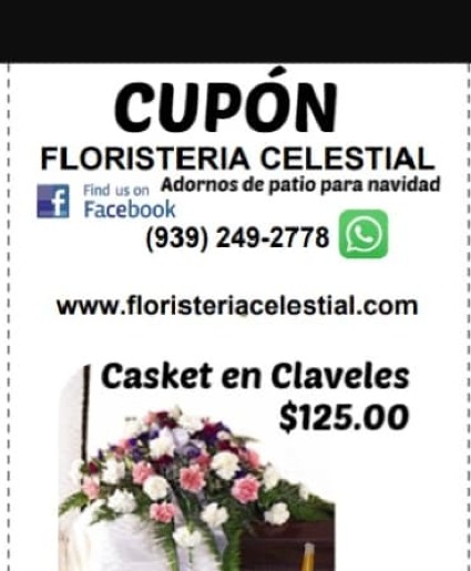 Claveles sobre el Ataud  Casket
