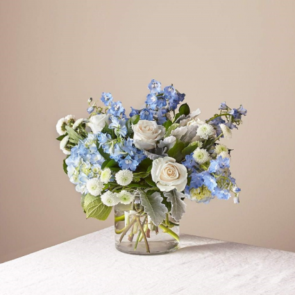 Clear Skies Blue and White Flowers 