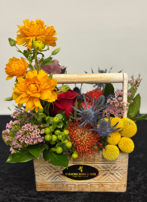 Clements bright floral 