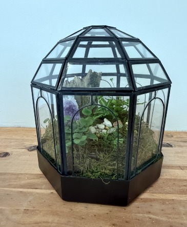 Closed Glass Terrarium Plant in Zimmerman, MN | Zimmerman Floral & Things