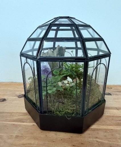 Closed Glass Terrarium Plant