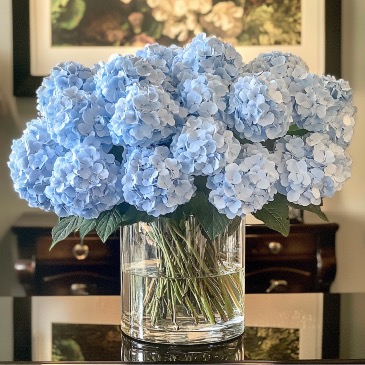 CLOUD  HYDRANGEA Occasions in Coconut Grove, FL | Luxury Flowers