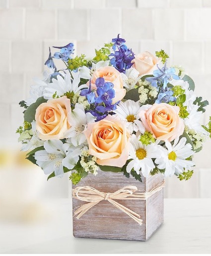 Coastal Breeze by 1800Flowers 