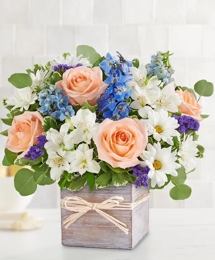 Coastal breeze Cut Flowers