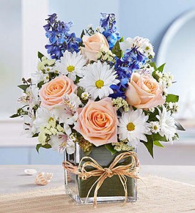 Coastal Breeze Roma florist  