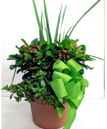 Coastal Garden  in Palm Coast, FL | HAMMOCK GARDENS FLORIST